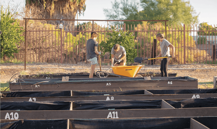 Urban Farming Education offers hands-on experiences for students to grow, harvest, and prep fruits and vegetables.